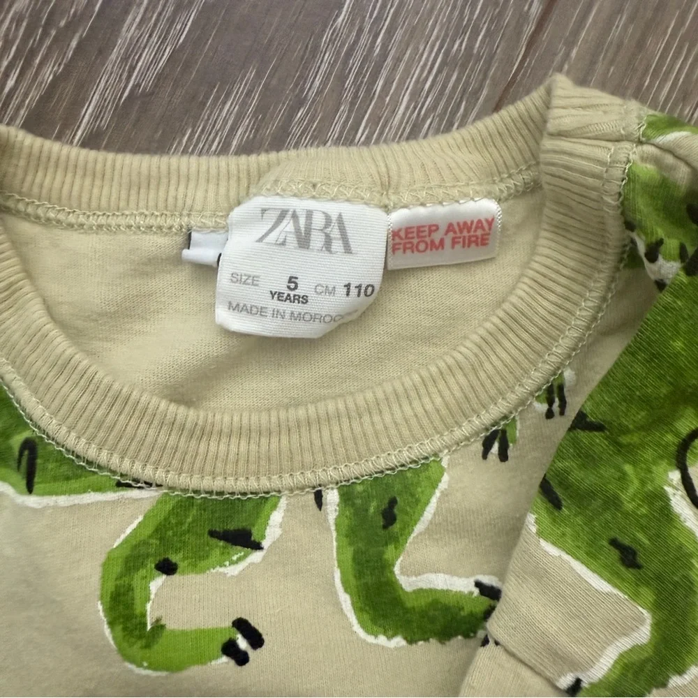 Zara Kids Set with Dinosaur Print Size 5